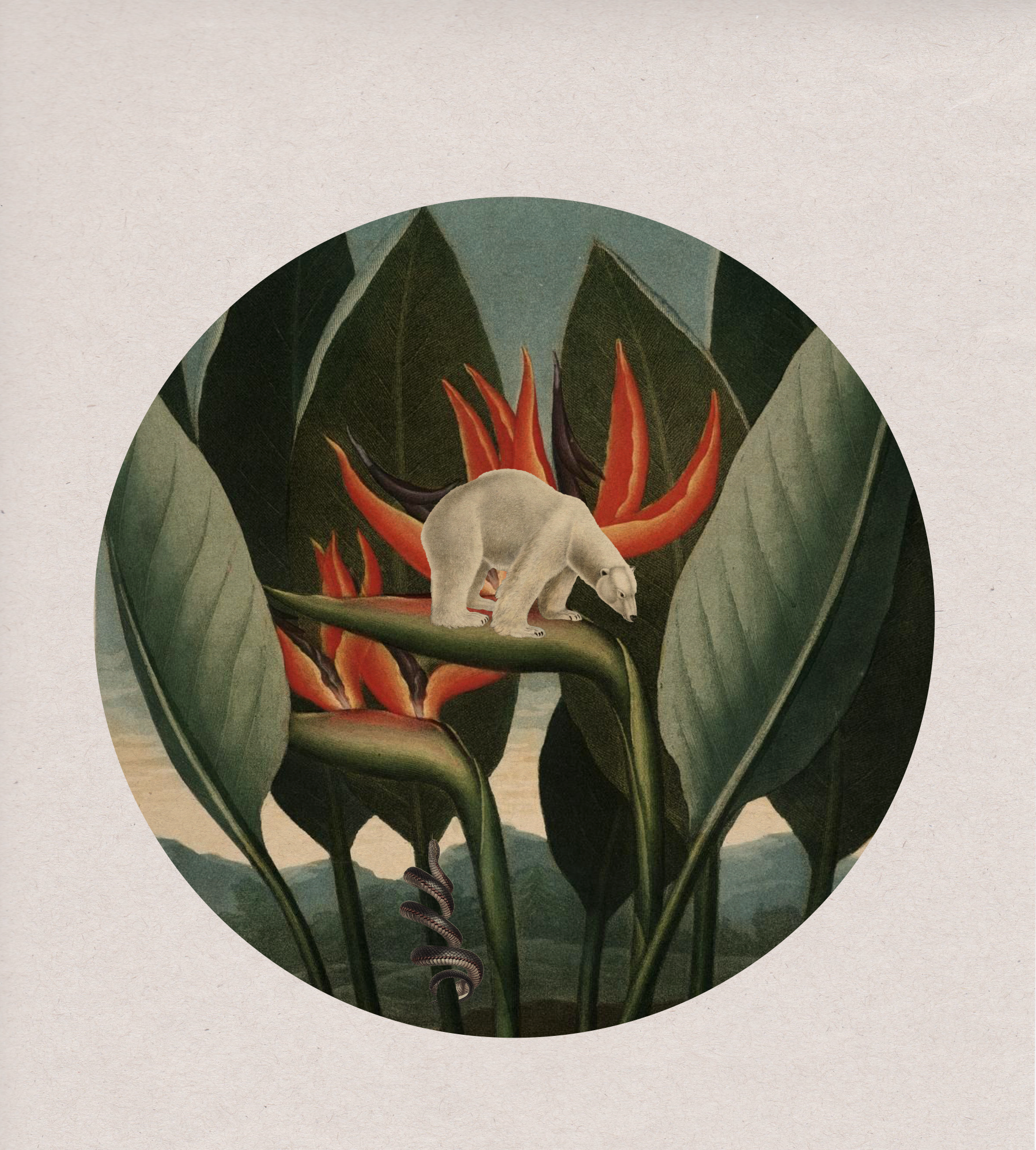 Taking a leap of faith