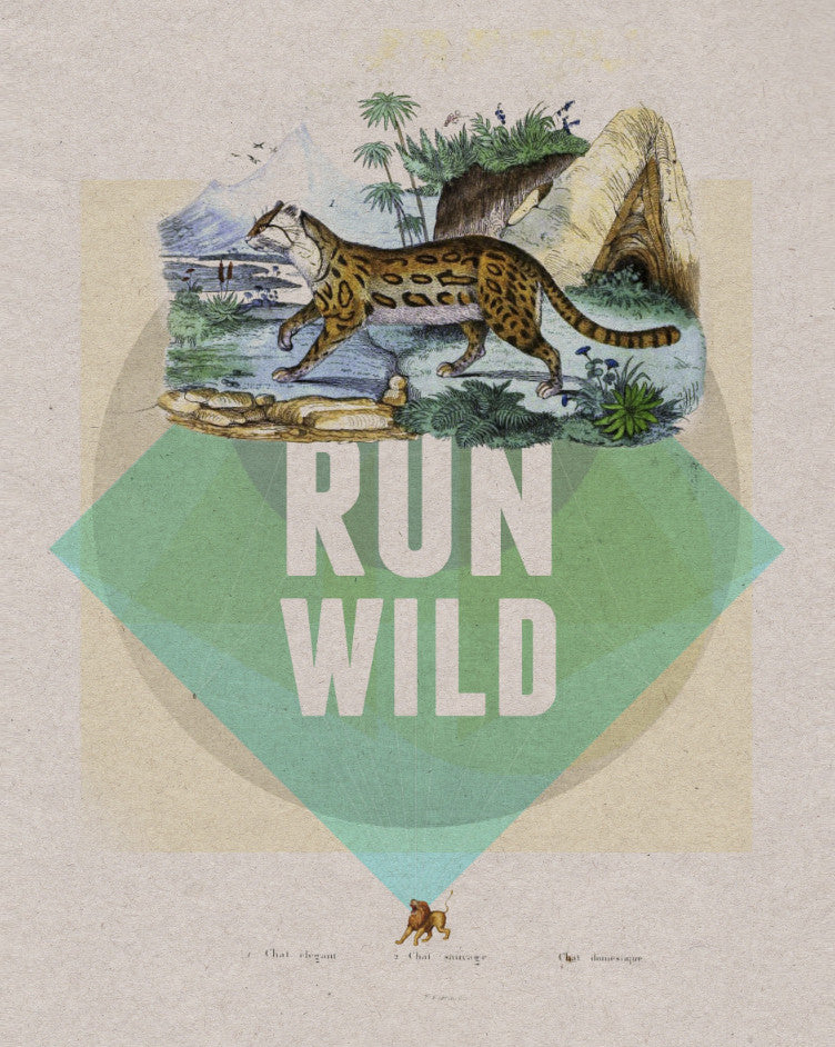 Run Wild