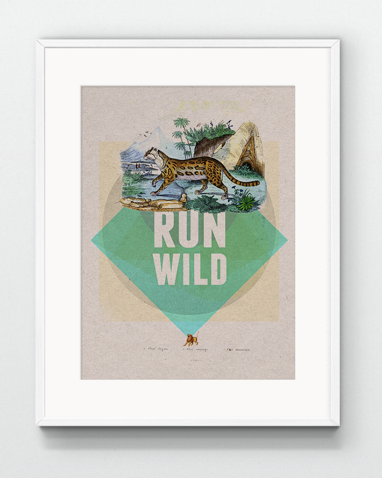 Run Wild